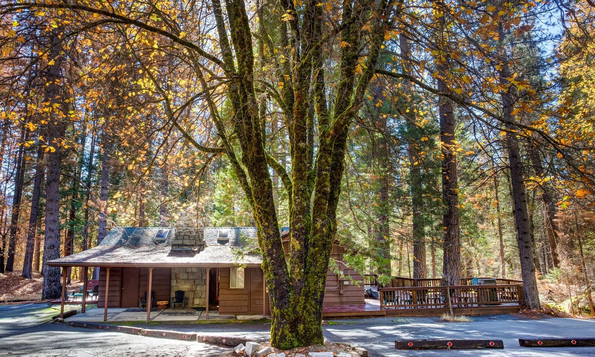 North Wawona Cabin | (50R) Soots - Me at The Redwoods In Yosemite