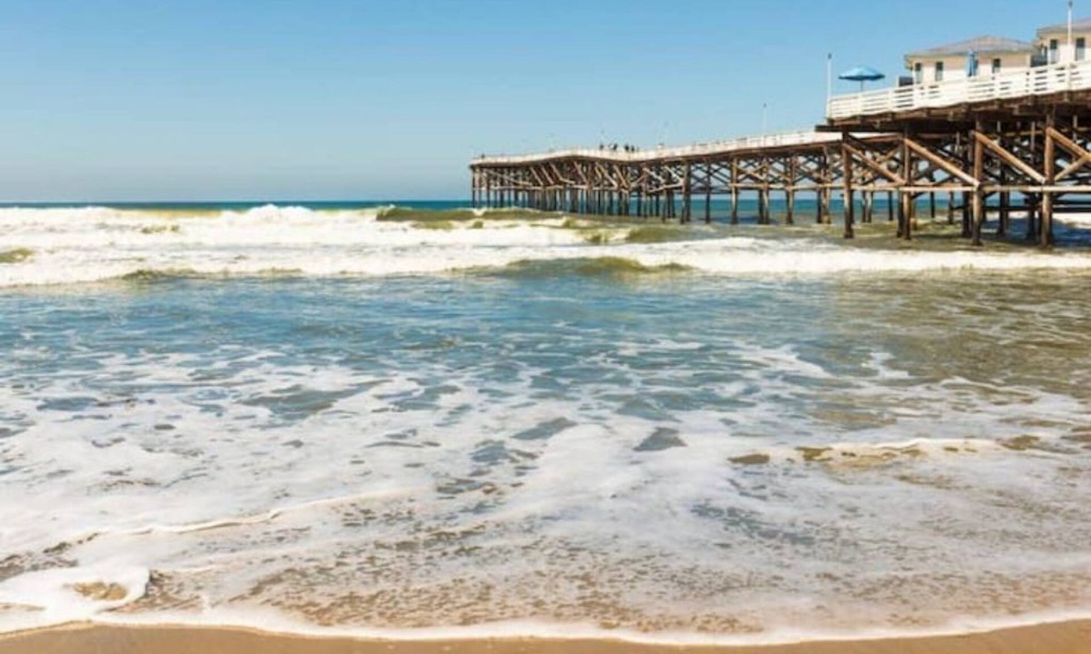 La Jolla Mesa Apartment | Adorable Private Studio- Walk To Beach and Brunch!