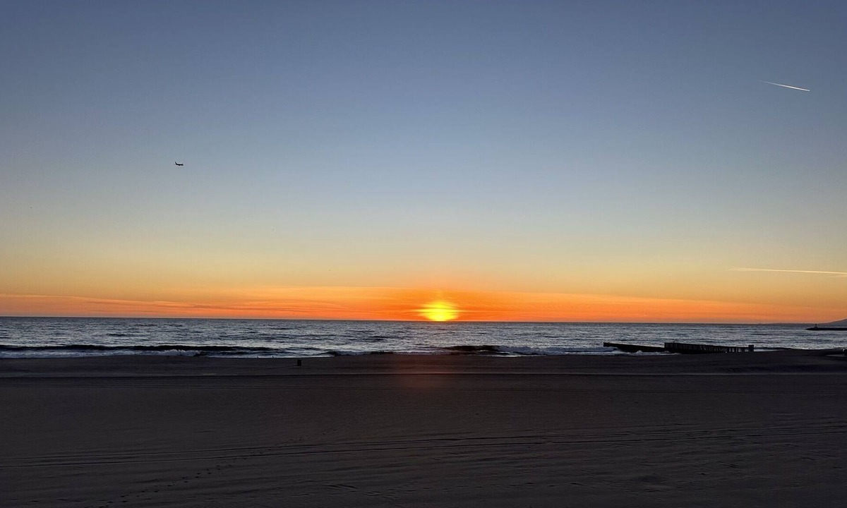 The Jungle Condo | Beachfront Oasis! On the beach just minutes from LAX