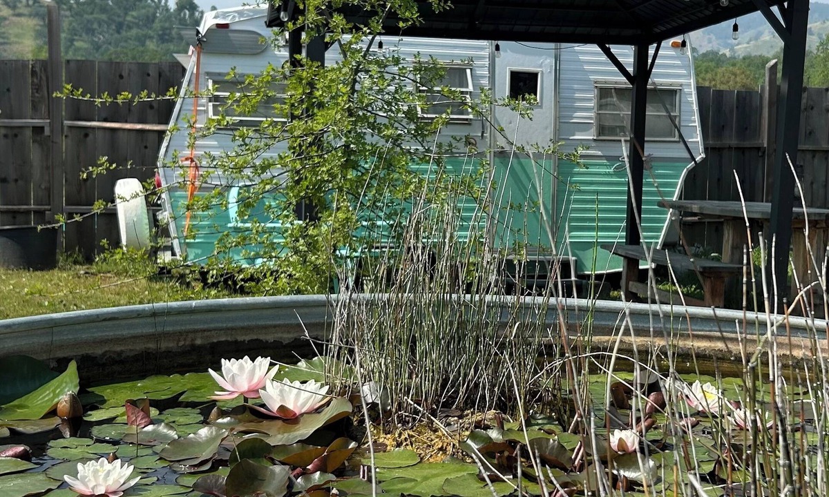 Dunlap House | Dale-Vintage Glamping at Winery Near Sequoia