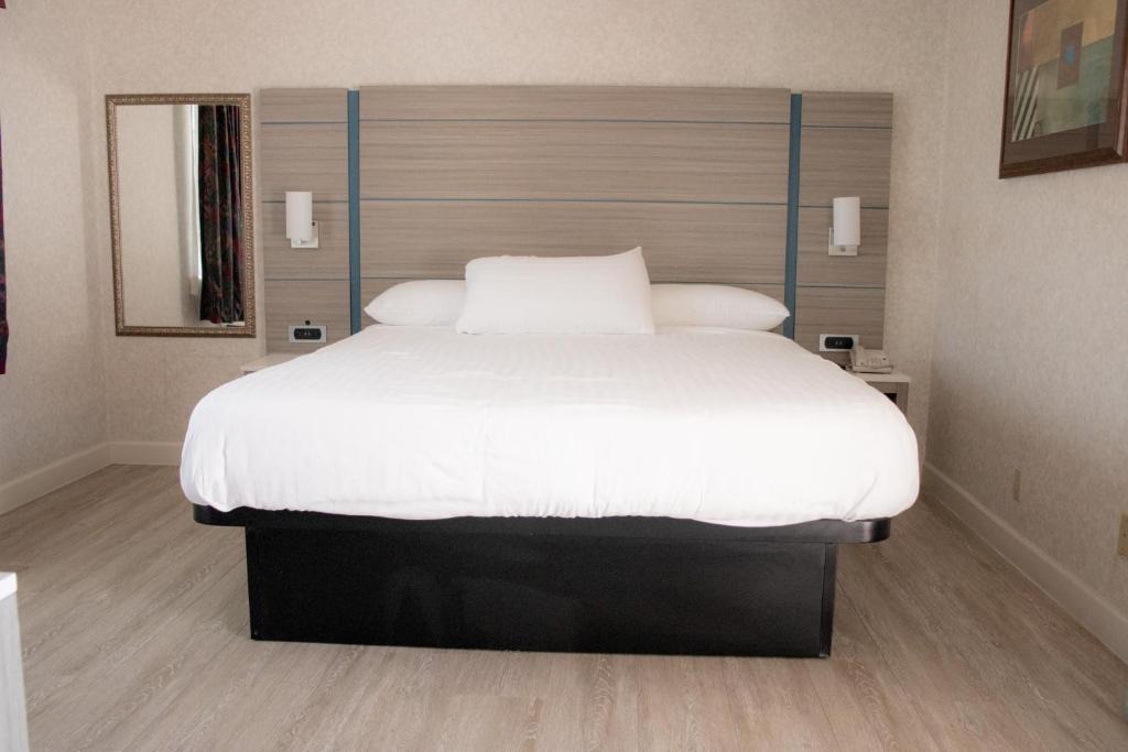 Hayward Hotel | Discovery Inn