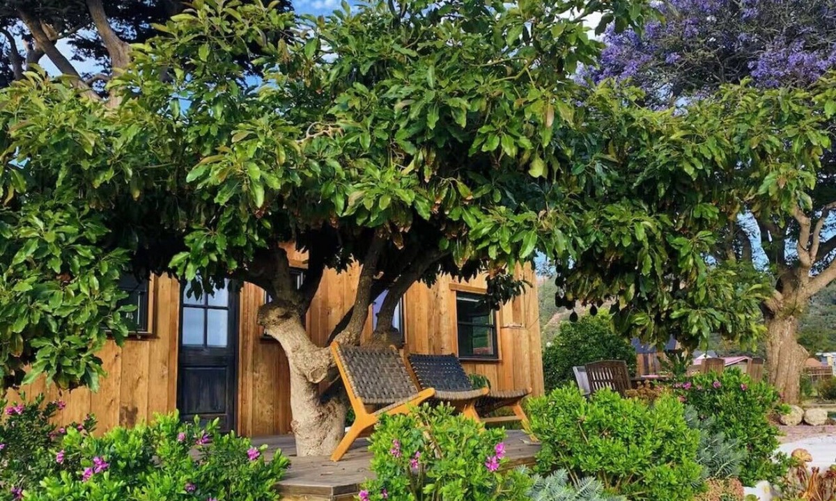 Arroyo Grande House | Flora Farm Cottage | Hot Tub, Creek & Fresh Eggs