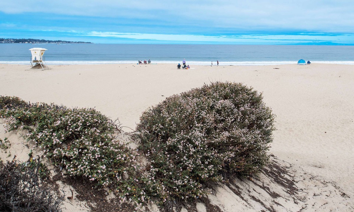 Monterey Hotel | Hampton Inn Monterey
