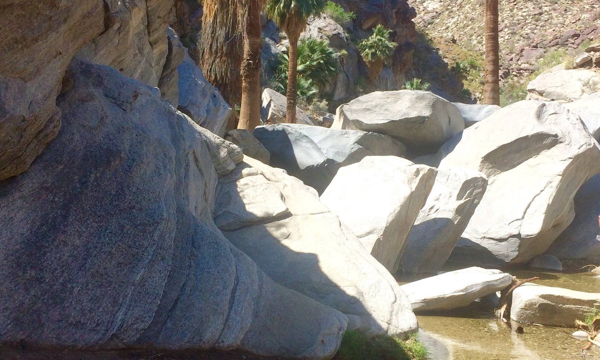 The Mesa Condo | LITTLE GEM! LOW SUMMER RATES! Minimum 29 day stay