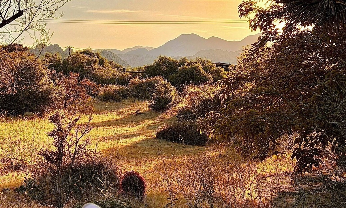 Pioneertown House | Luxury Pioneertown Ranch + Spa Under Joshua Trees + Star Bed +Walk to Pappy's
