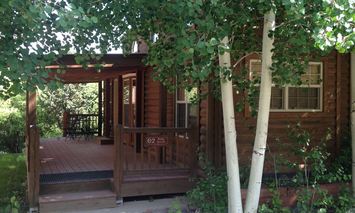Almont Cabin | Modern "Tiny Home" Style Cabin on Taylor River with Private Fishing Access