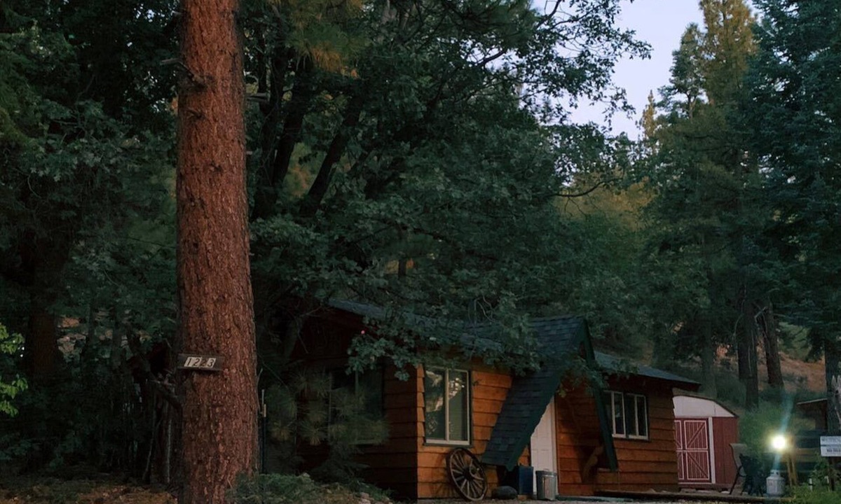 Fawnskin House | Owl Cabin - Sierra style cabin located on a quiet road in Fawnskin and backs up to National Forest!