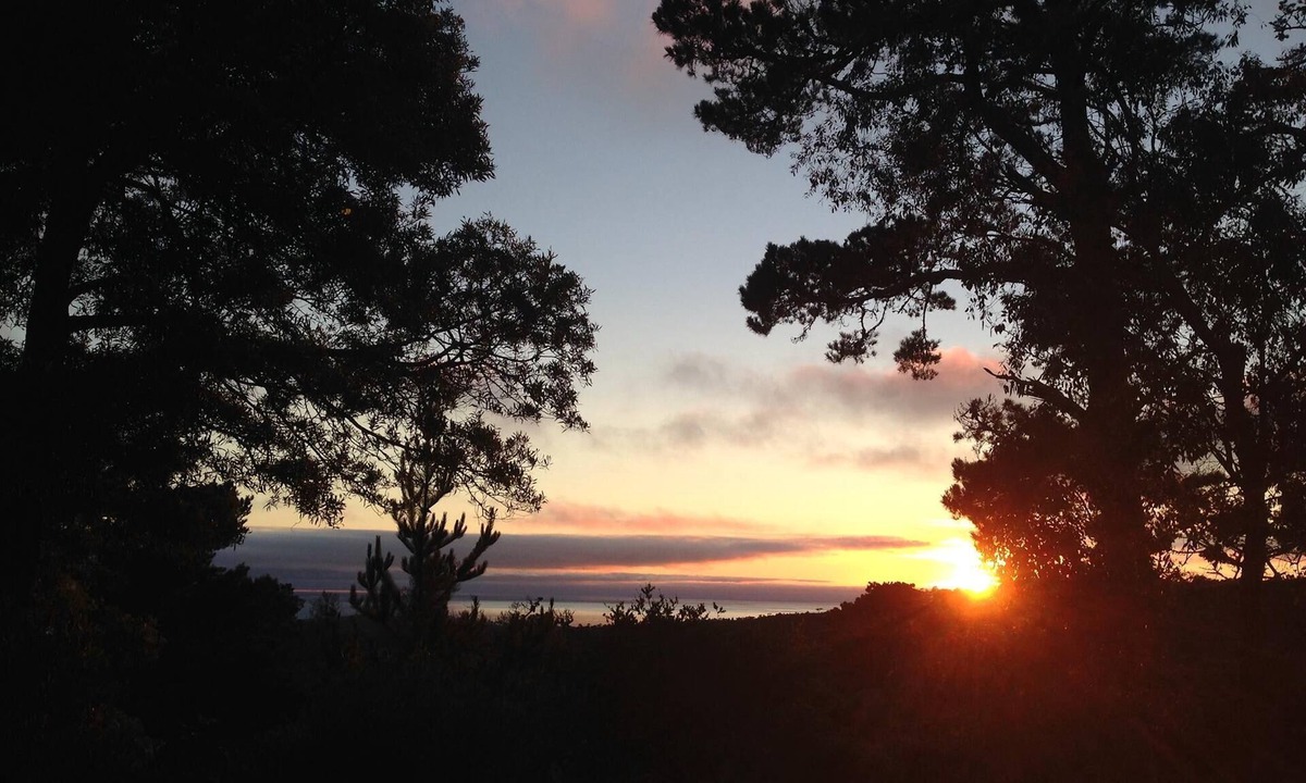 Carmel Woods Apartment | Private Carmel Woods, Dog Friendly, by Monterey, Pebble Beach, Big Sur