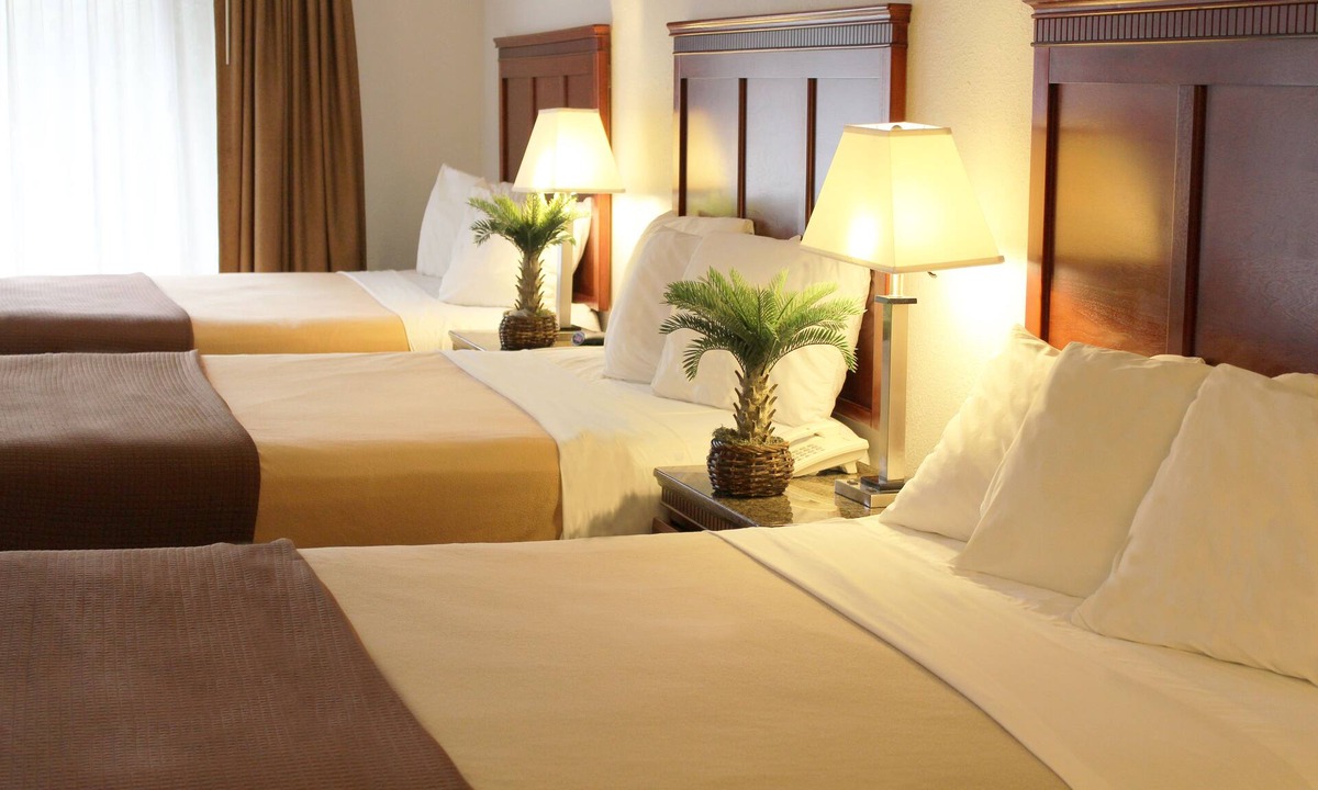 Santa Clara Hotel | Rodeway Inn Santa Clara El Camino Real