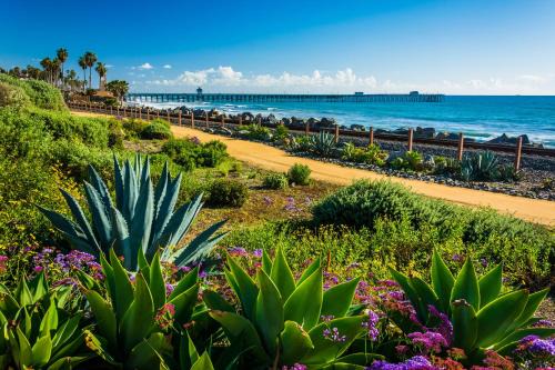 San Onofre Hotel | San Clemente Surf Inn