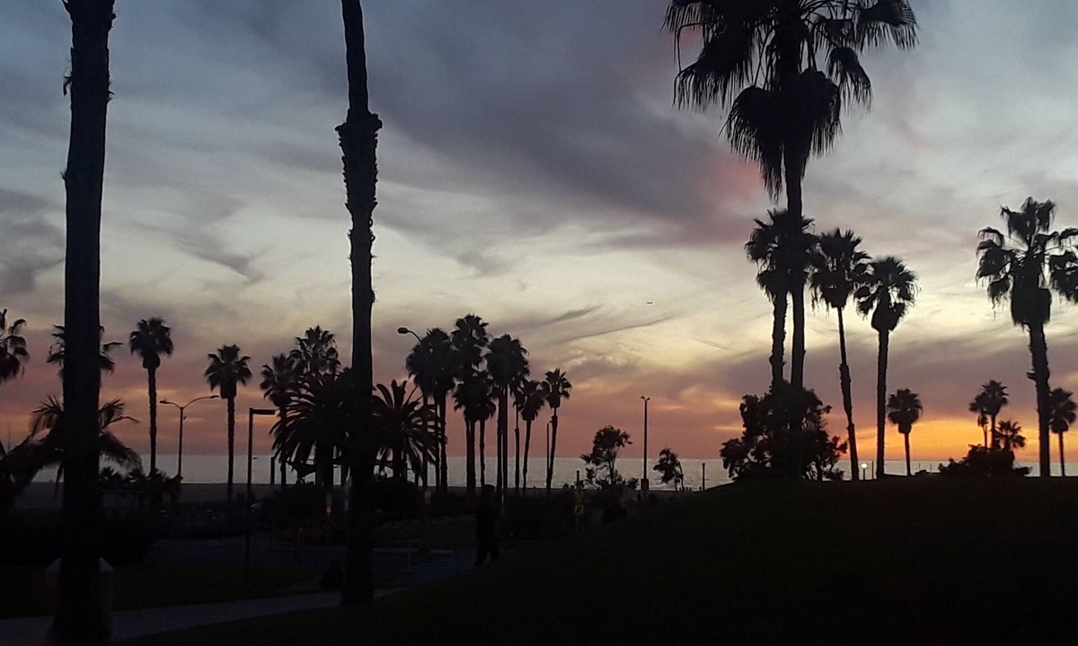 Venice House | Santa Monica Walk To Beach, Bike Path, Shops and Restaurants