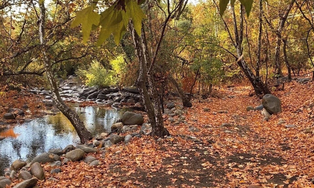 Three Rivers House | The Fairy Stream 's House