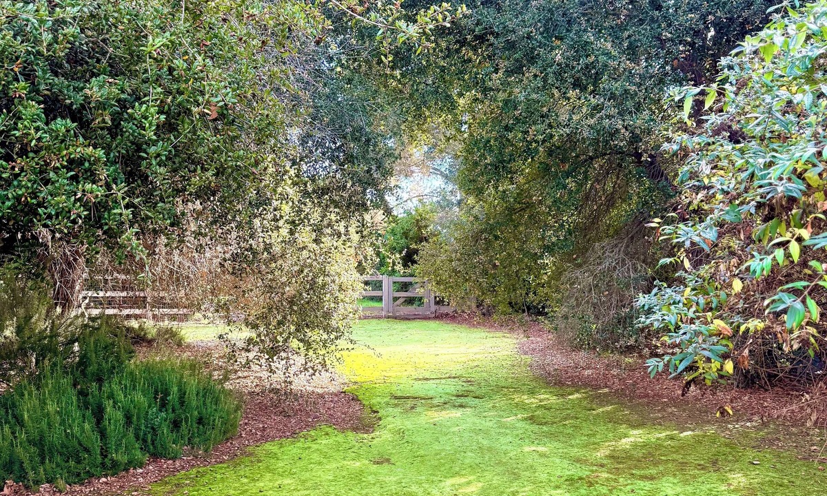 Santa Ynez House | The Magnolia Manor – Your Private Gated Resort Estate with EVERYTHING imaginable