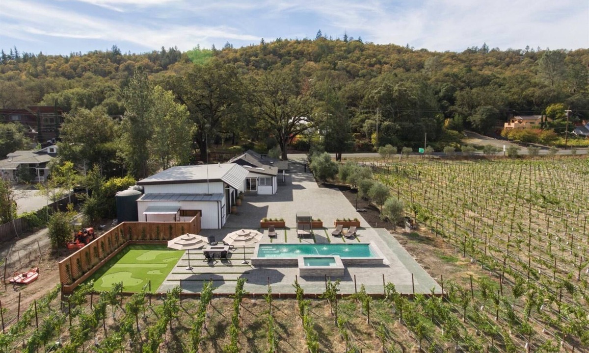 Calistoga House | Vineyard
