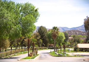 Soledad Canyon Wheelchair Accessible Cottage 16