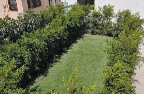 Downtown Los Angeles Apartment | 1BR 1Ba OASIS - DTLA/USC, Garage, Yard, Balcony