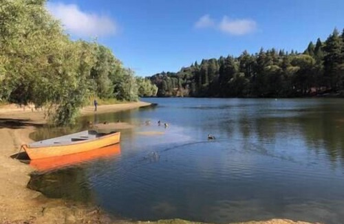Crestline Apartment | 1st Floor - 1 mile from San Moritz Lodge