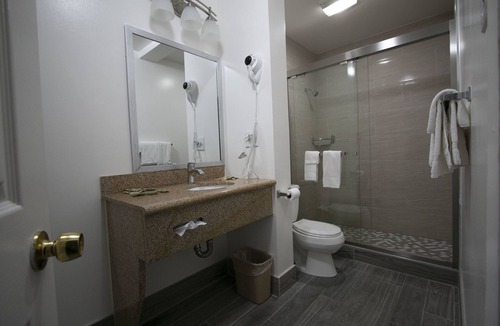 Cow Hollow Hotel | Alpha Inn & Suites
