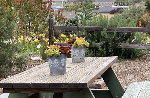 Baywood-Los Osos House | Baywood Garden Cottage