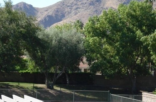 Palm Springs Condo | Best location in Mesquite Country Club!