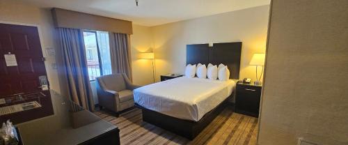 East Pasadena Hotel | Best Western Pasadena Royale Inn & Suites