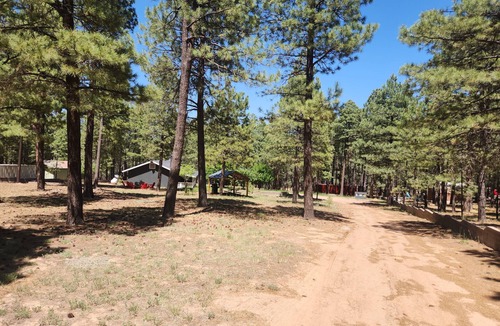 Heber Cabin | Charming 4-bedroom cabin with WiFi and AC in Forest Lakes