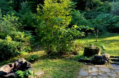 Port Orford Cottage | Charming Quiet custom cottage! Ping Pong, Ninja Warrior setup! Firepit, orchard!