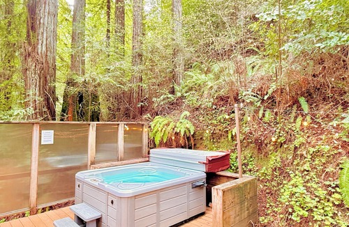 Guerneville House | Cozy cabin deep in the redwoods/WiFi & Hot Tub
