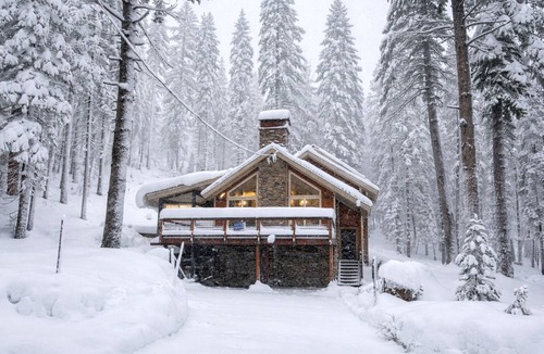 Serene Lakes Cabin | Cozy cabin in the pines - Wonderful location, steps away from the lake!