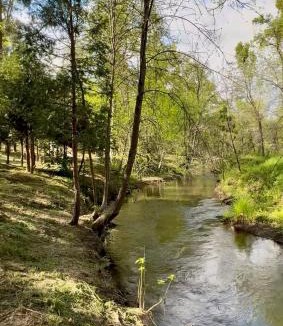 North Fork House | Creekside Quail Landing Near Yosemite & Bass Lake