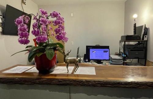 Trinity - Bellwoods Hotel | Dragon Gate Inn