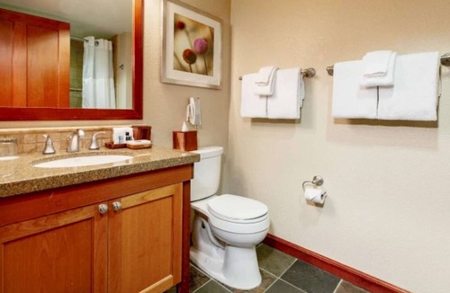 Olympic Valley Hotel | Everline Resort & Spa Fireplace Suite Forest View