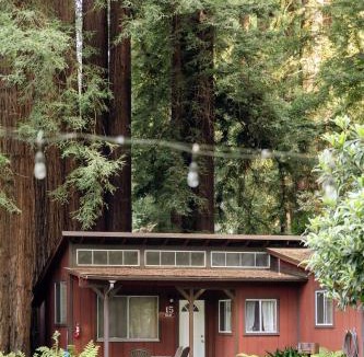 Felton Resort | Fern River Resort