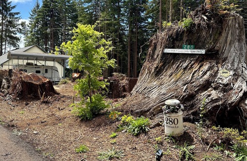 Crescent City House | Glamping Among Redwood Trees Cozy Camper Pet Friendly