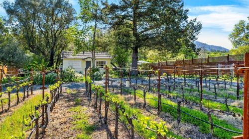 Glen Ellen House | Grapevine Cottage by AvantStay