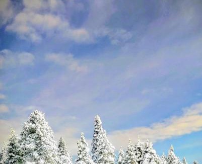 Bear Valley Apartment | Great Location Corner Condo - Tamarack #10 Pets Ok
