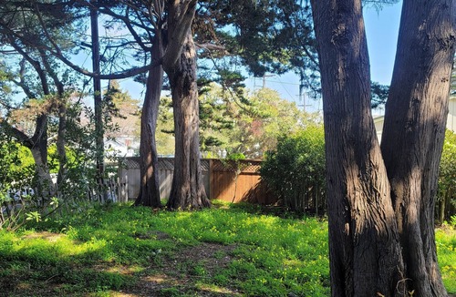 Munras Avenue House | Ideal for extended stay One month minimum stay Close to Downtown & Attractions