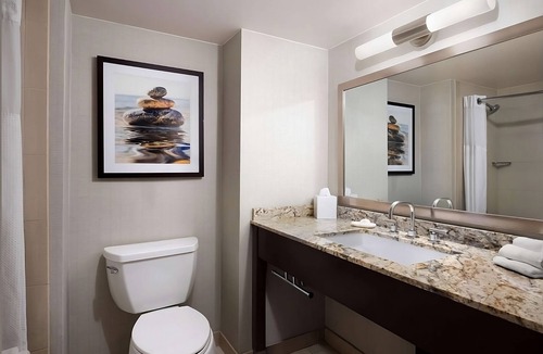 South Redondo Hotel | King Harbor Adventure! Whale Watching, Pets Allowed, Outdoor Pool & Jacuzzi!