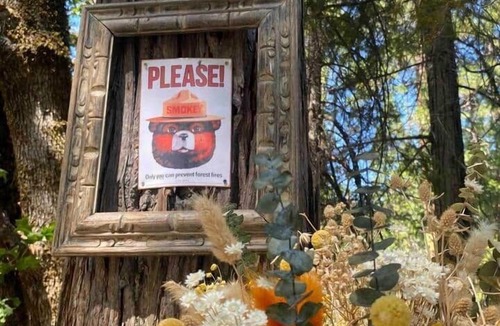 Burnt Ranch Cabin | Majestic View | King Room at Radio Ranch (Tub)