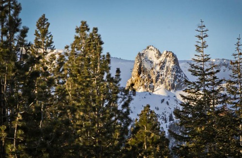 Mammoth Lakes Hotel | Mammoth Estates #105