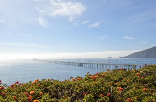 Avila Beach Resort | Minutes from Avila Beach! 2 Spacious Units Pool, Bbq Facilities, Free Parking!