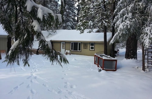 Shingletown Cabin | Mt Lassen Lodging Grace Lake Resort # 7