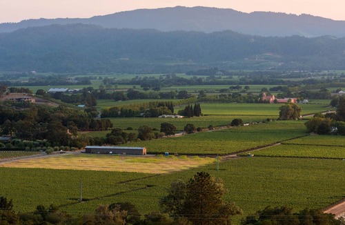 Napa County Villa | Napa Valley Getaway Filled with Art & Light