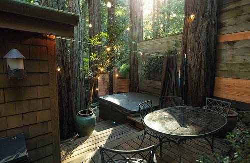 Mill Valley House | New Listing! Redwood tree retreat in Mill Valley