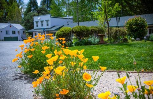 Nevada City Hotel | Outside Inn
