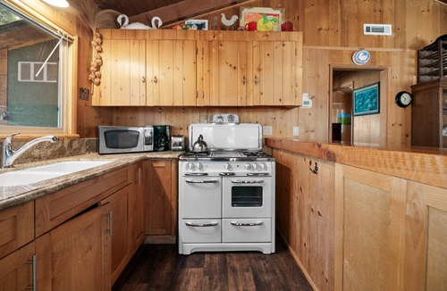 Fawnskin House | Owl Cabin - Sierra style cabin located on a quiet road in Fawnskin and backs up to National Forest!