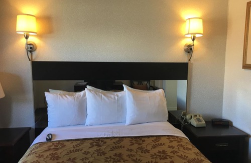 Cow Hollow Hotel | Pacific Heights Inn