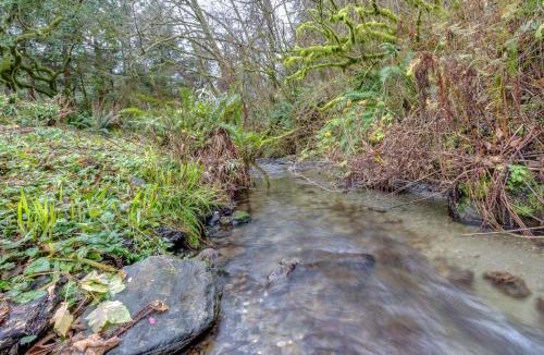 Trinidad House | Peaceful Creekside