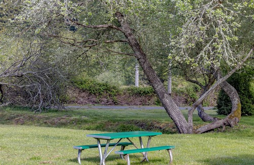 Orick Cabin | Perfect cabin near the beach & state parks with deck, gas grill, & two spaces