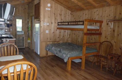 Lincoln Acres Resort | Pio Pico Camping Resort Studio Cabin 10